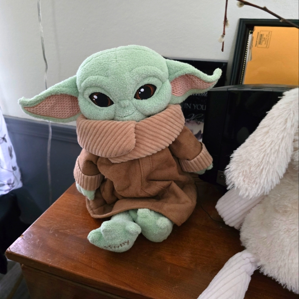 Stuffed animal with box